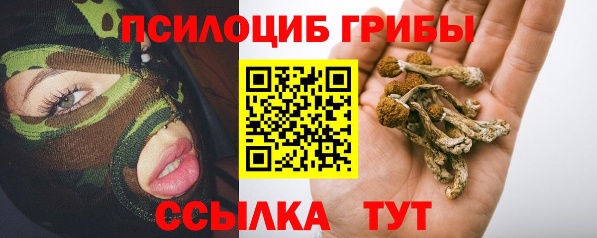 Лесной  Галлюциногенные грибы прущие грибы  Вход с VPN  Псилоцибиновые грибы Psilocybine cubensis 