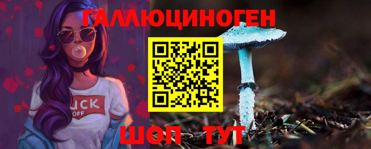 Галлюциногенные грибы ЛСД Лесной