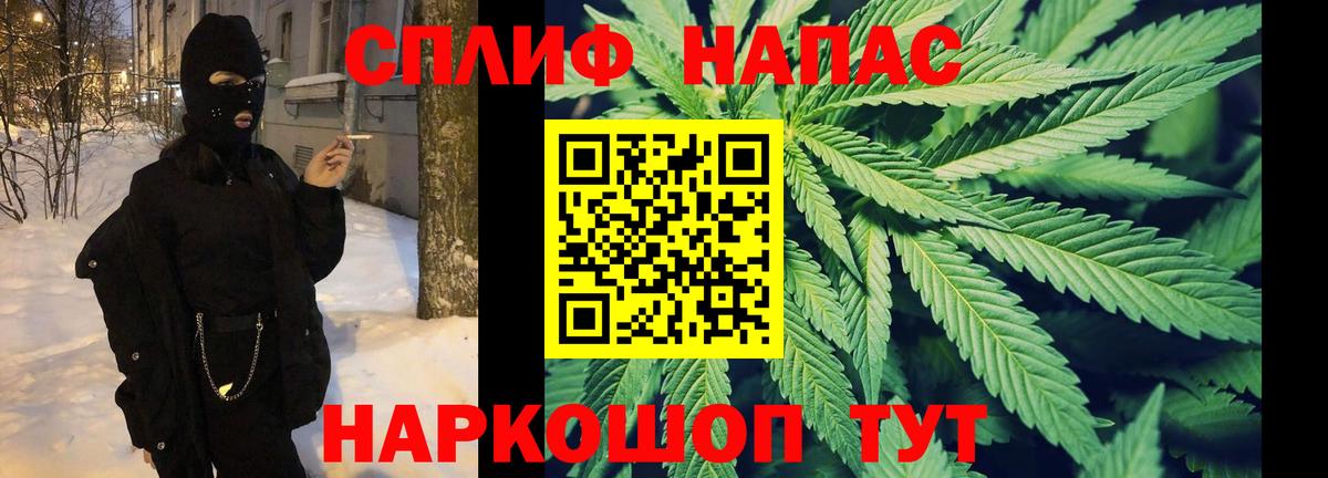 Шишки марихуана план Лесной